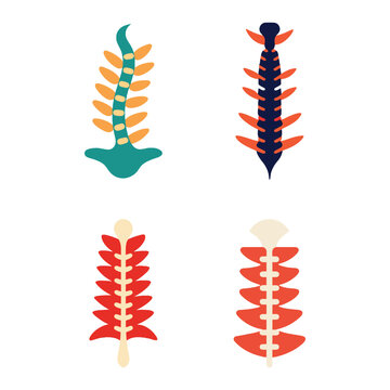 Four colorful spine illustrations in different colors and styles  human anatomy  educational  medical  side views  colorful designs