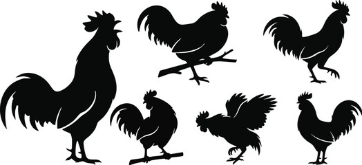 Rooster Silhouette Collection Vector Set – Chicken and Cock Silhouettes, Farm Animal Poses Bundle, Black Poultry Illustration © abdullah