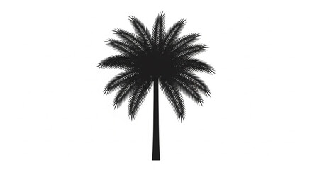 Fototapeta premium Realistic Palm Tree Silhouette Vector with Detailed Tropical Fronds and Tall Trunk in Clean Black Isolated Design for Nature and Travel Themes