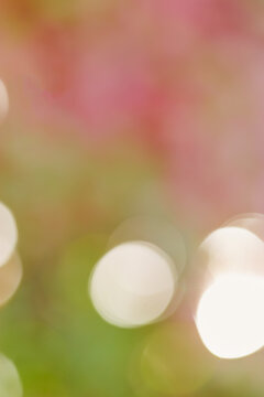 Defocused abstract bokeh background pastel colored, flare from lights, color gradient, blurred round bokeh as holiday texture. Glittering aesthetic textured lighting pattern, fall color, autumn mood