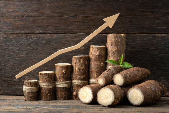 Cassava roots with ascending bar chart and arrow on dark wood background. Cassava price rise concept, agricultural investment and commodity market growth theme.