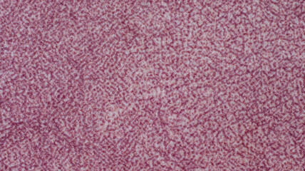 High-quality texture of pink and white patterned velour fabric. This soft, decorative textile is ideal for luxury upholstery, fashion design backdrops, and elegant interior decor elements. © Александр Серебрянни