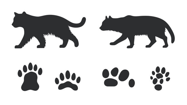 Silhouettes of two felines, one cat-like and one wolf-like, along with four distinct paw prints