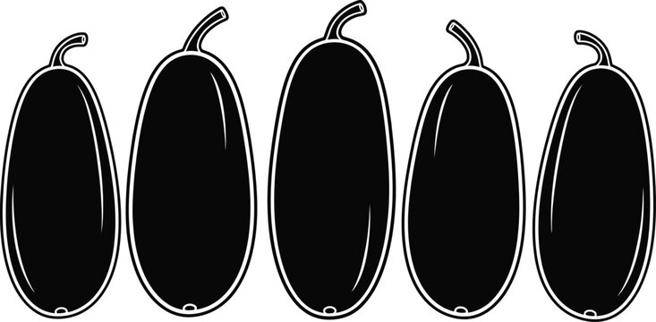 Five black pepper pods in a row illustration