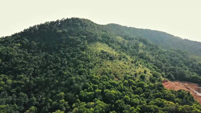 Aerial drone view of deforestation land clearing and forest landscape