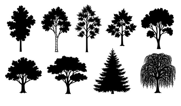 A collection of silhouetted trees diverse shapes and foliage representing nature's botanical variety in black and white