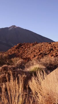 Iconic Mount Teide volcano rising above red lava rock formations and golden dry grass in Tenerife. Classic Canary Islands landmark scene perfect for travel and nature licensing.