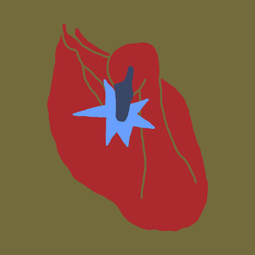 Modern minimalist swan vector with a decorative star element, offering a balanced mix of simplicity and elegance for contemporary design needs.