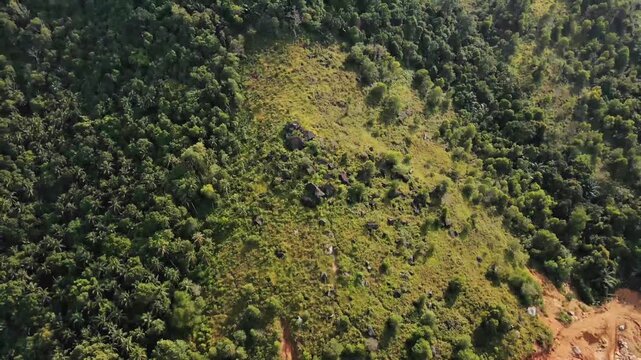 Aerial drone view of deforestation land clearing and forest landscape