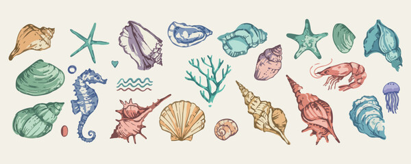 Sea shells and coral underwater, ocean marine life and nature, beach treasures and aquatic illustration, hand drawn seashells and marine plants, coastal nature and environment doodles, under the sea a © Geetaroy