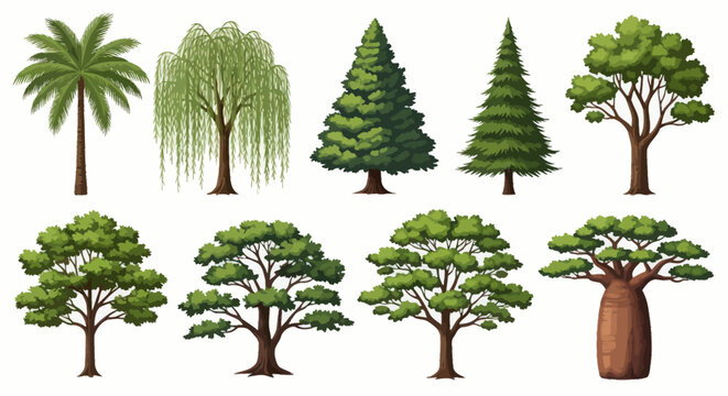 Collection of various tree species.