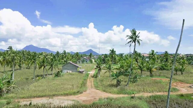 Drone Aerial View Tropical Village Coconut Tree and Mountain Landscape