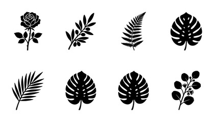Minimalist botanical silhouette icons, collection of 8 black floral and leaf vector elements, tropical monstera and rose plant symbols for branding © Shimu