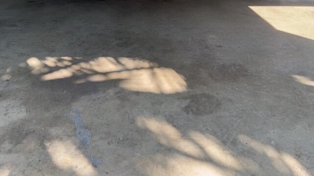 Leaf shadow on floor natural background 