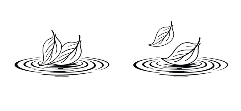 branch with leaves. falling leaves in the water, autumn siskin. Autumn leaves fall on the ground, body of water or river. Water droplets in the storm. Leaves falling around.