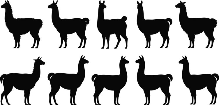 A collection of ten diverse black llama silhouettes standing in various poses on a clean white backdrop