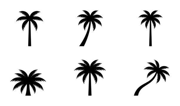 Tropical palm tree silhouette icons, set of 6 black coconut tree vectors, minimalist exotic plant symbols for summer travel branding and beach logos