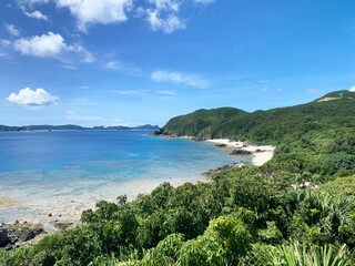 Fototapeta premium tropical beach with turquoise water