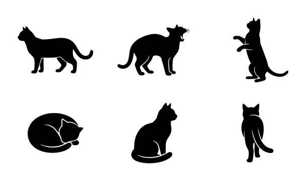 Black cat silhouette collection, set of 6 feline vector icons in various poses, minimalist domestic pet animal shapes for logo design and branding