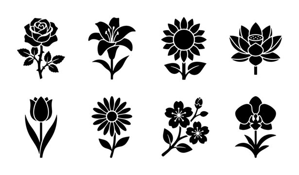 Minimalist black flower icons set, 8 botanical vector silhouettes including rose and sunflower, floral garden symbols for logo design and branding