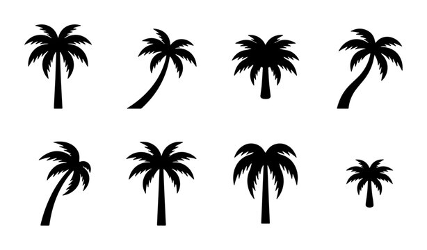 Tropical palm tree silhouettes, set of 8 black coconut tree icons, summer vacation beach plant vector elements for travel branding and logo design