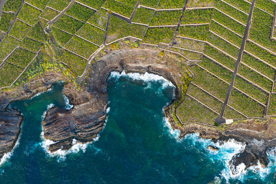 Aerial View Banana Plantations on Volcanic Lava Delta La Palma Canary Islands Spain; Industrial Agriculture Tropical Farming