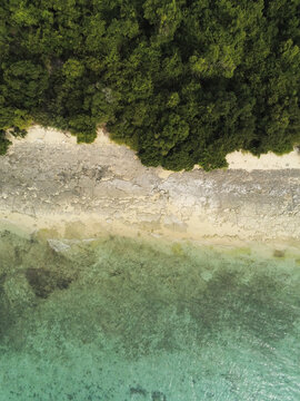 Aerial view of Mpapaini Turtle Beach featuring dense tropical forest, rocky shoreline, and clear turquoise water in Ras Mkumbuo, Tanzania.