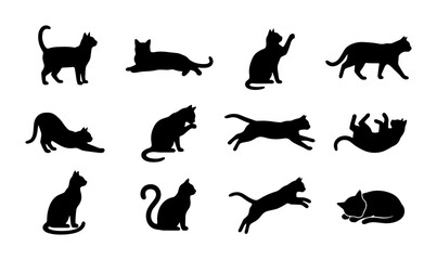 Black cat silhouettes set of 12 vector icons, domestic feline pet poses in various positions, minimalist animal shape collection for logo design © Saidul