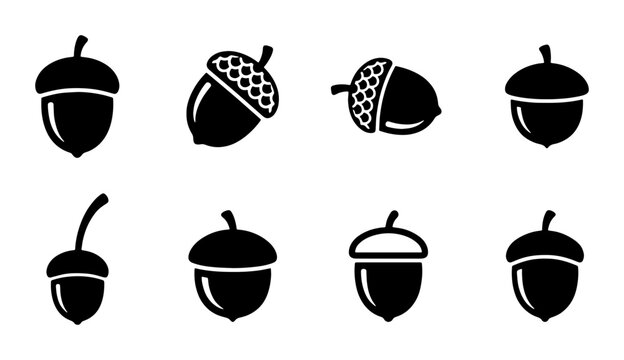 Minimalist acorn icon set, black oak nut silhouettes, 8 nature vector elements, autumn forest seed symbols for seasonal branding and logo design