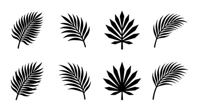 Tropical palm leaf silhouettes set, black botanical foliage vector icons, minimalist exotic summer plant elements for logo design and patterns