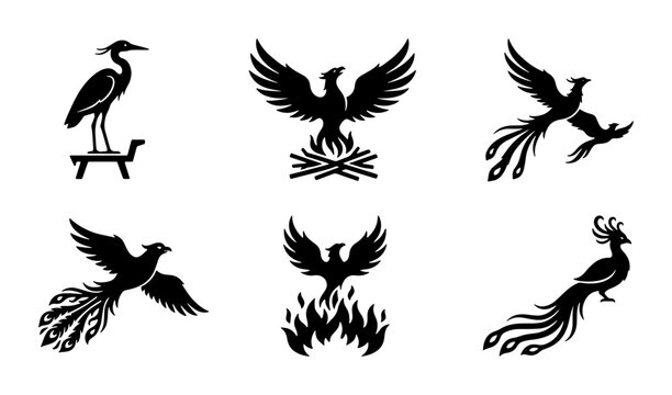 Mythical phoenix bird silhouettes, set of 6 black firebird icons, legendary creature rising from flames, heraldic peacock and heron vector graphics