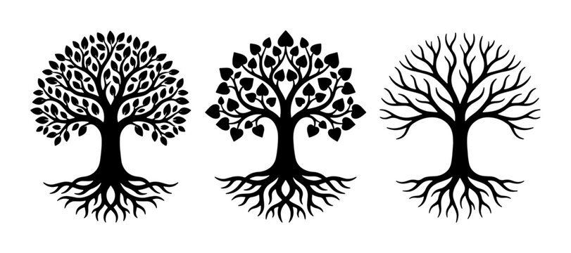 Black tree silhouettes with roots, set of 3 botanical vector icons, minimalist oak and maple tree life cycle symbols for eco branding