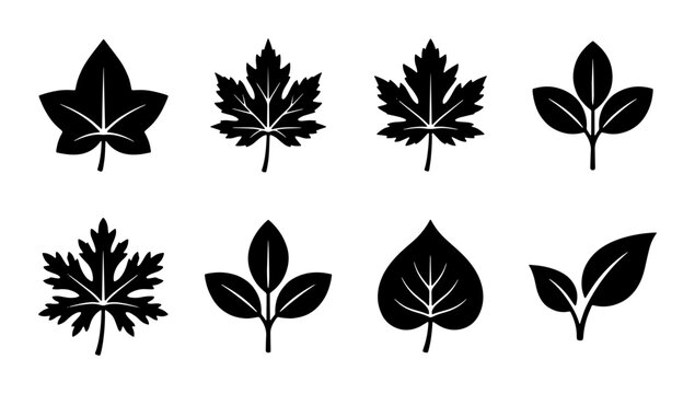 Minimalist black leaf icons set, 8 botanical vector silhouettes, flat maple and oak foliage symbols for nature branding and autumn design
