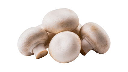 Fresh white button mushrooms cluster close up view © Michal