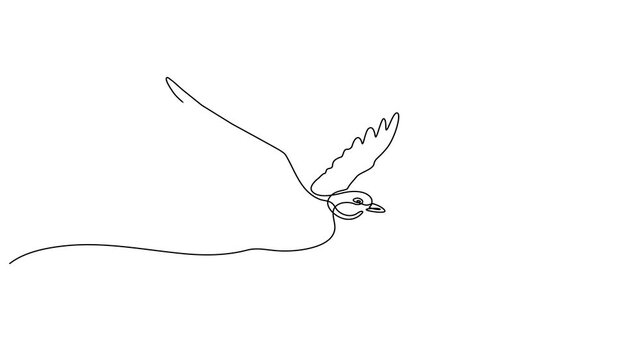 Animated self drawing Continuous one line drawing of Minimalist flying dove, one line art, simple animal illustration, black and white vector