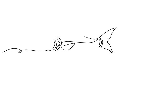 Animated self drawing Continuous one line drawing of Minimalist line art, continuous drawing of a stingray, black and white illustration, ocean creature design
