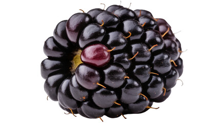 Ripe plump dark mulberry berry close-up view © Isabel