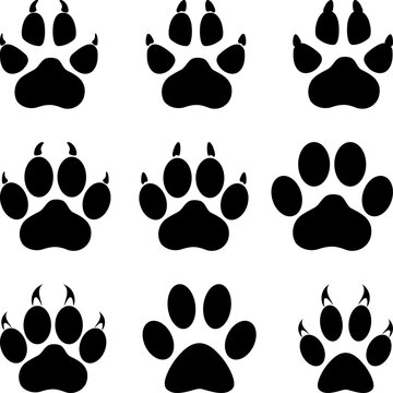 Hunde und Katzen Pfoten Sammlung, Katzenpfote, Pfote, Katze, Hundepfote, Hunde, Sammlung
