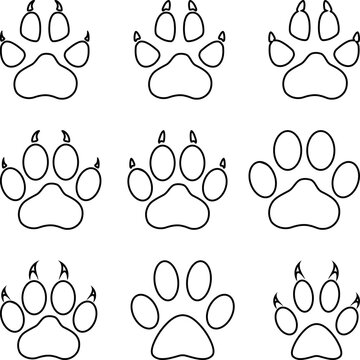 Hunde und Katzen Pfoten Sammlung, Katzenpfote, Pfote, Katze, Hundepfote, Hunde, Sammlung