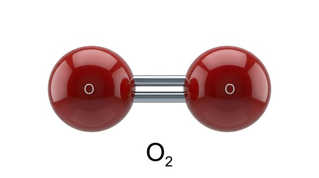 Oxygen Molecule O2 Scientific 3D Model Illustration