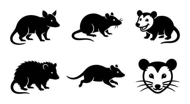 Opossum silhouette vector collection, set of 6 black marsupial icons, North American opossum and rat character graphics for wildlife design