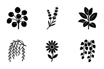 Minimalist botanical icons set, black floral silhouettes of lavender and daisy, 6 nature plant vector elements for organic branding and logo design © Mahadi