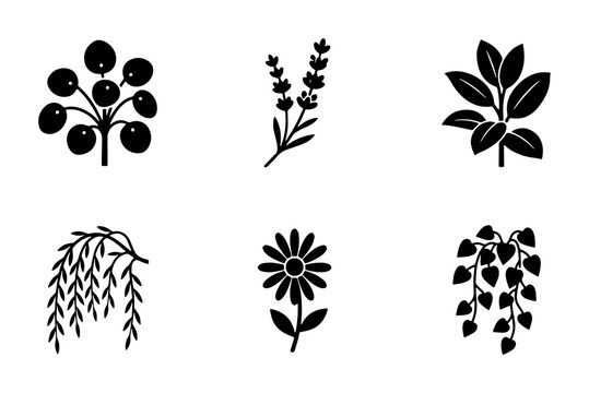 Minimalist botanical icons set, black floral silhouettes of lavender and daisy, 6 nature plant vector elements for organic branding and logo design