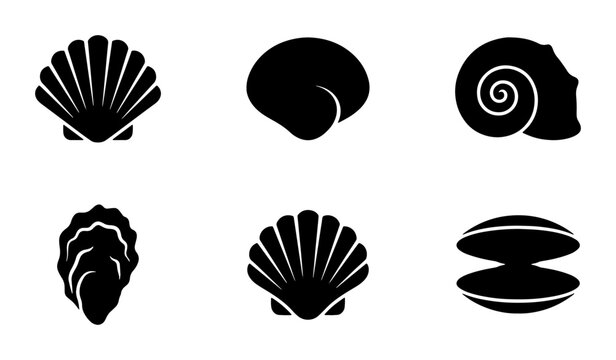 Minimalist seashell silhouette icons, set of 6 black sea shell vector illustrations, nautical scallop and clam shell symbols for summer branding