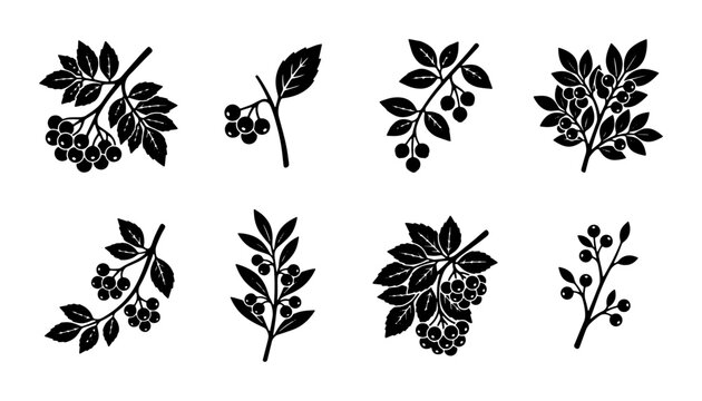 Vintage berry branch silhouettes, set of 8 botanical vector icons, black rowan and elderberry sprigs with leaves on white background