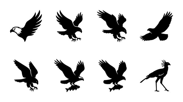 Eagle silhouette vector set, majestic predatory birds in flight and hunting poses, black hawk and falcon icons for wildlife branding and logos