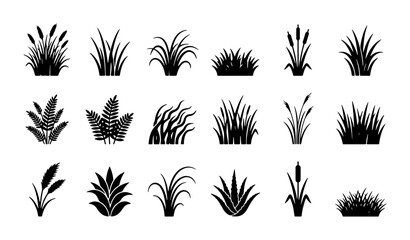 Black grass silhouette collection, 18 botanical plant icons, marsh reeds and meadow tuft vector set, wild foliage and swamp vegetation elements © Abid