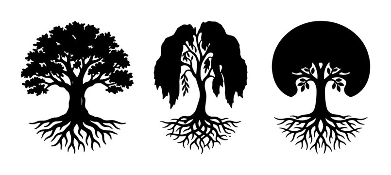 Black tree silhouettes with roots, set of 3 botanical vector icons, oak and willow tree shapes, minimalist nature symbols for eco branding