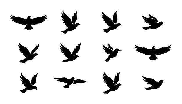 Black bird silhouette collection, 12 flying bird vector icons, soaring eagle and dove silhouettes, minimalist avian wing shapes for logo design