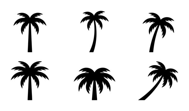 Black palm tree silhouette icons, set of 6 tropical coconut tree vector illustrations, minimalist summer beach plant shapes for travel logos